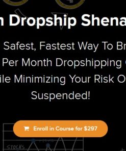 Amazon-Dropship-Shenanigans-6-Figure-Sales-Per-Month-Dropshipping-On-Amazon