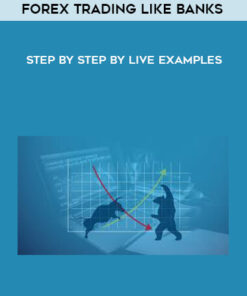 Forex Trading Like Banks – Step by Step by Live Examples