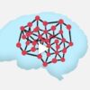 conversion-xl-digital-psychology-and-persuasion-minidegree