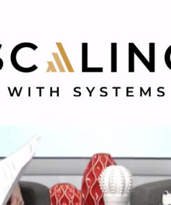 ravi-abuvala-scaling-with-systems