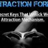 the-attraction-formulas-by-gabe