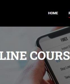 FestX - Main Online Course