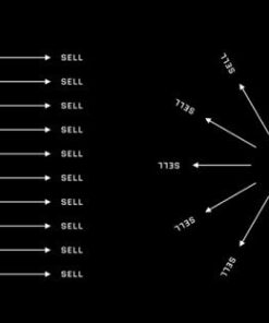 build-once-sell-twice-productization-playbook