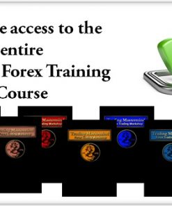 yin-yang-forex-training-program-trading-mastermind