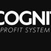Erik Cagi – Incognito Profit System