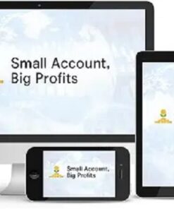 Walter Peters – Small Account Big Profit